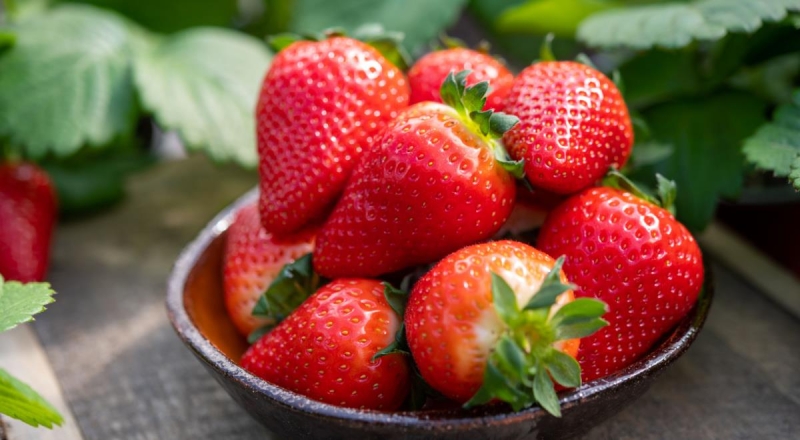 Врач рассказала, как выбрать клубнику без нитратов &mdash; читать на Gastronom.ru